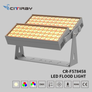 LED Flood Light (CR-F578458)